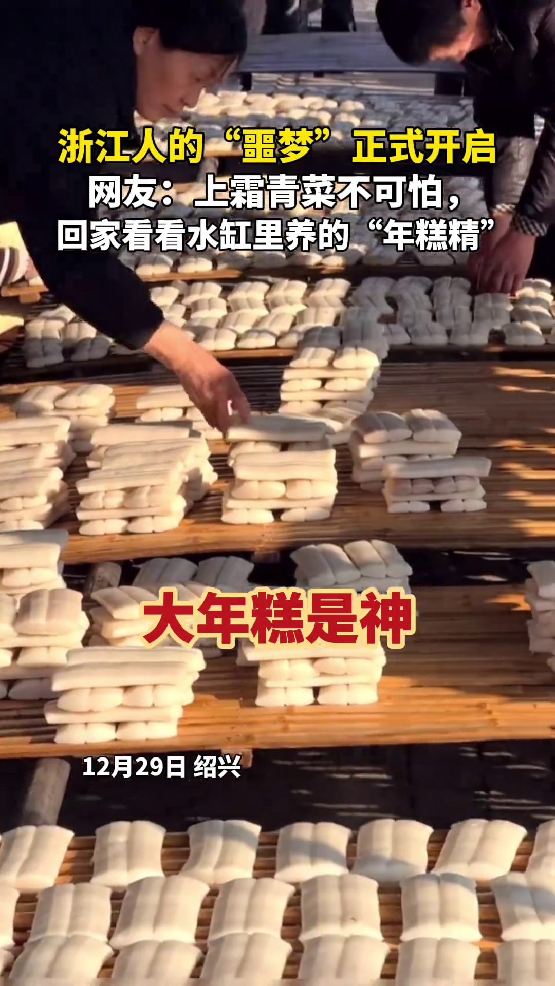 浙江人的“噩梦”开启！网友：上霜青菜不可怕，“年糕精”才要命