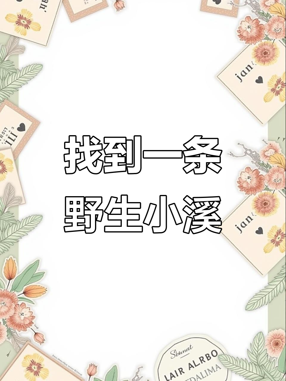 发现野生小溪,竟然有鱼!