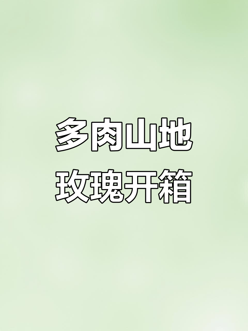 山地玫瑰拆箱:从枯叶到变粉,探秘多肉养护技巧