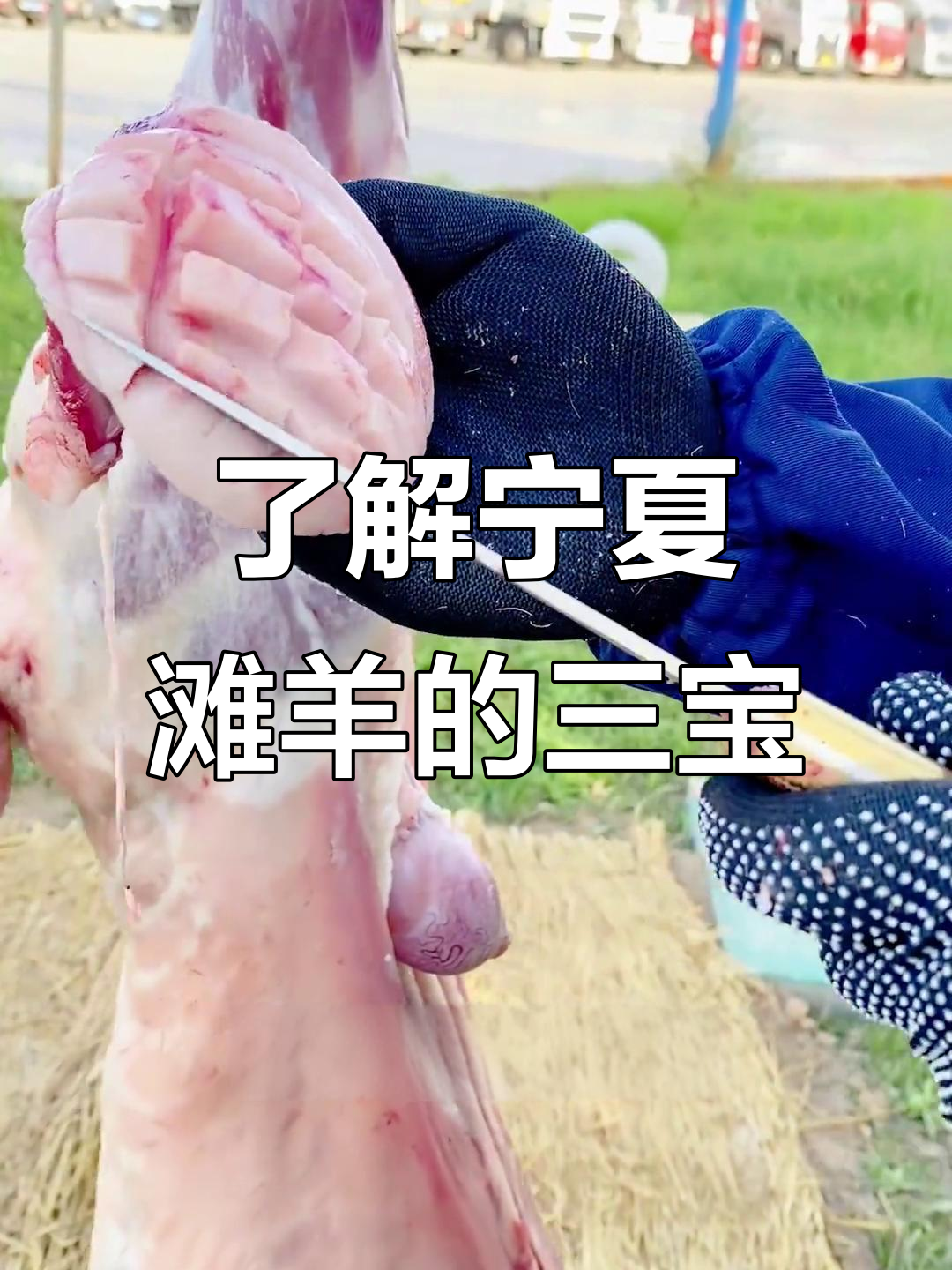 羊三宝:腰、鞭与荔枝,美味不容错过