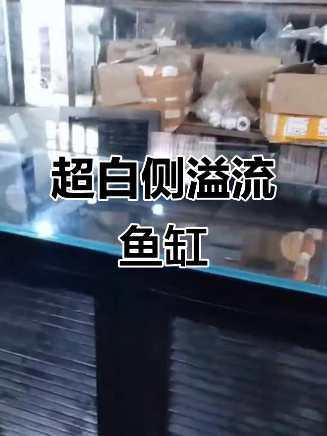 松木黑漆百叶门柜+超白五线鱼缸,完美搭配!