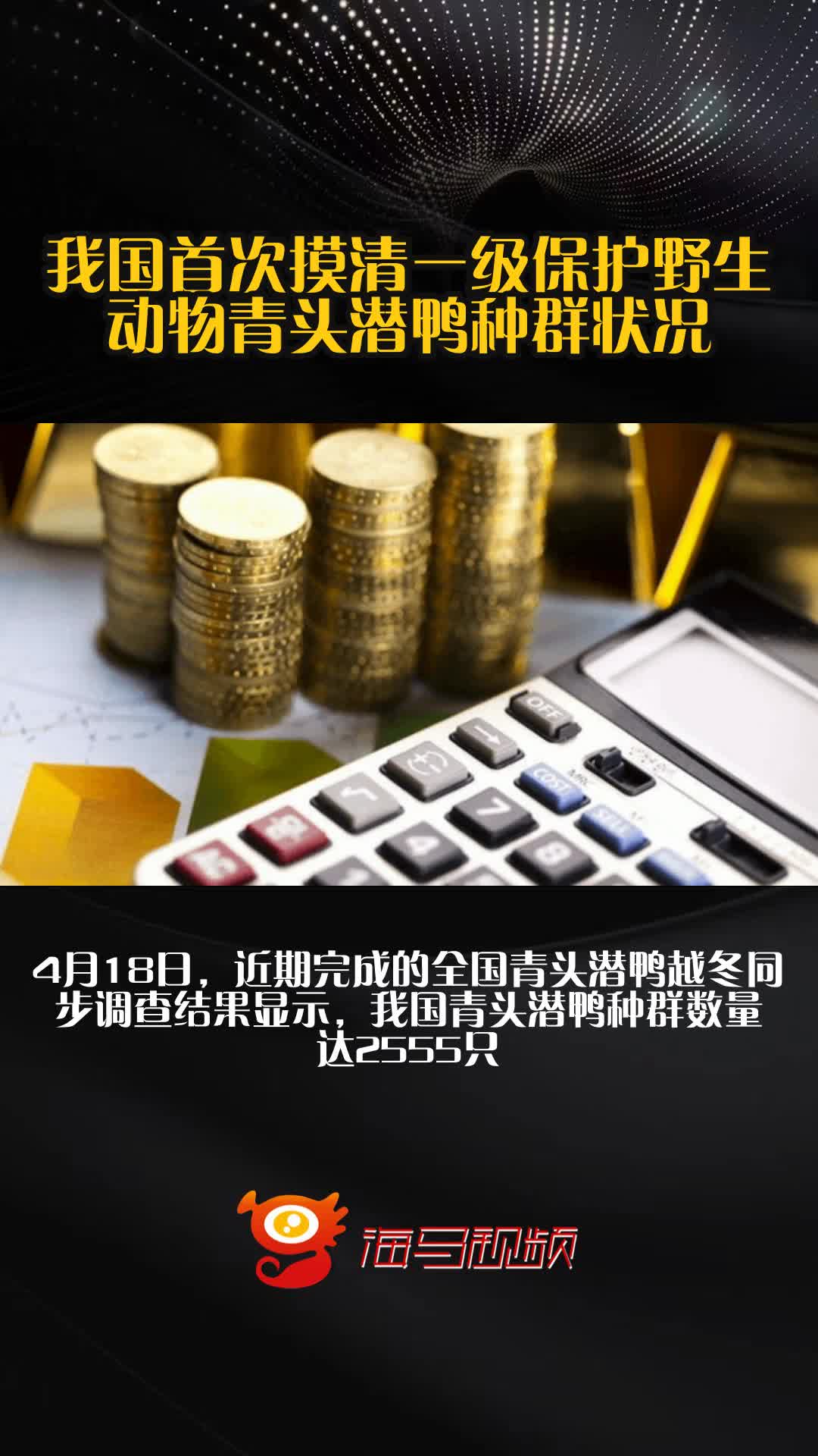 我国首次摸清一级保护野生动物青头潜鸭种群状况