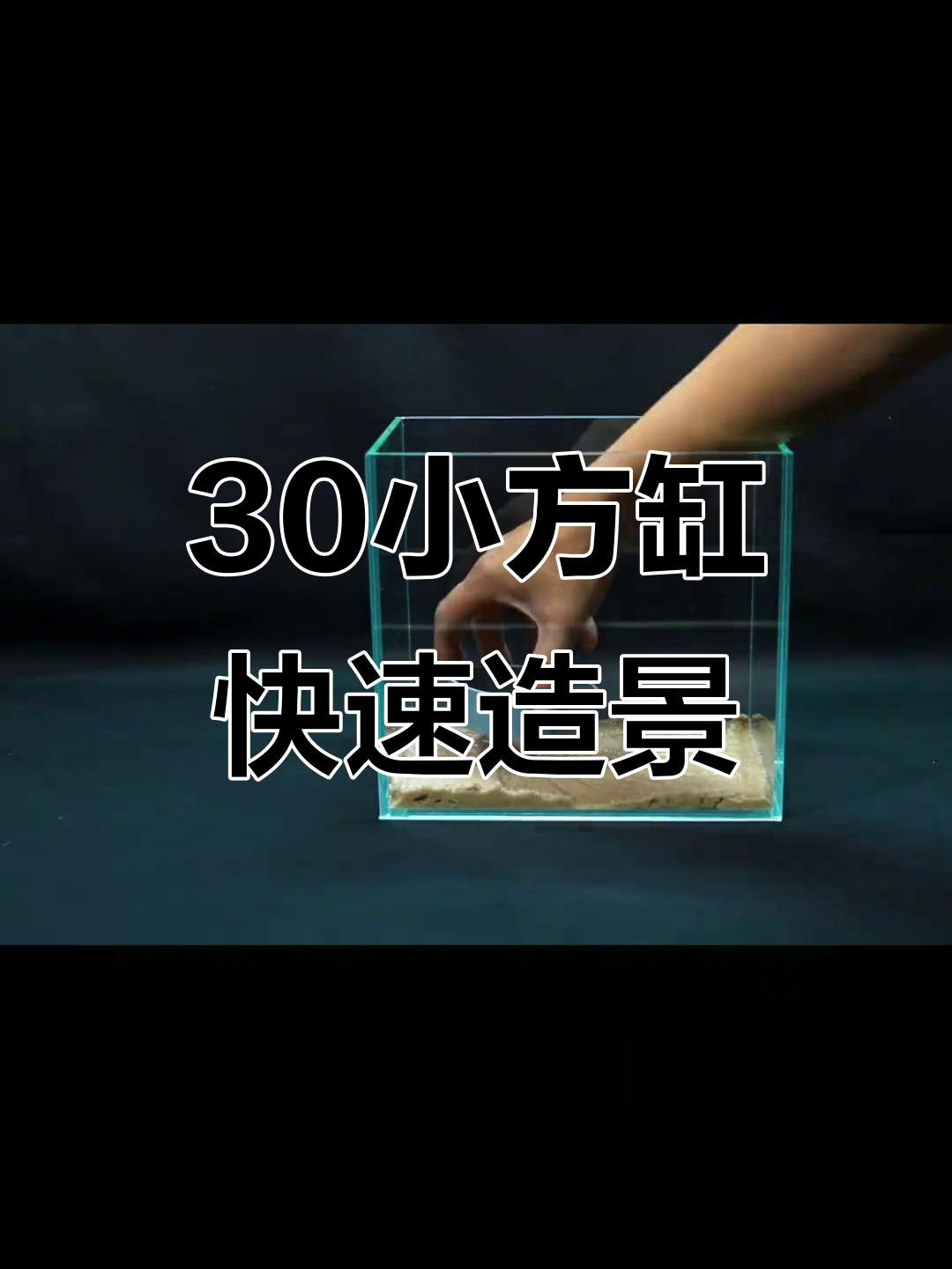 小方缸造景全攻略,轻松打造森林风格鱼缸