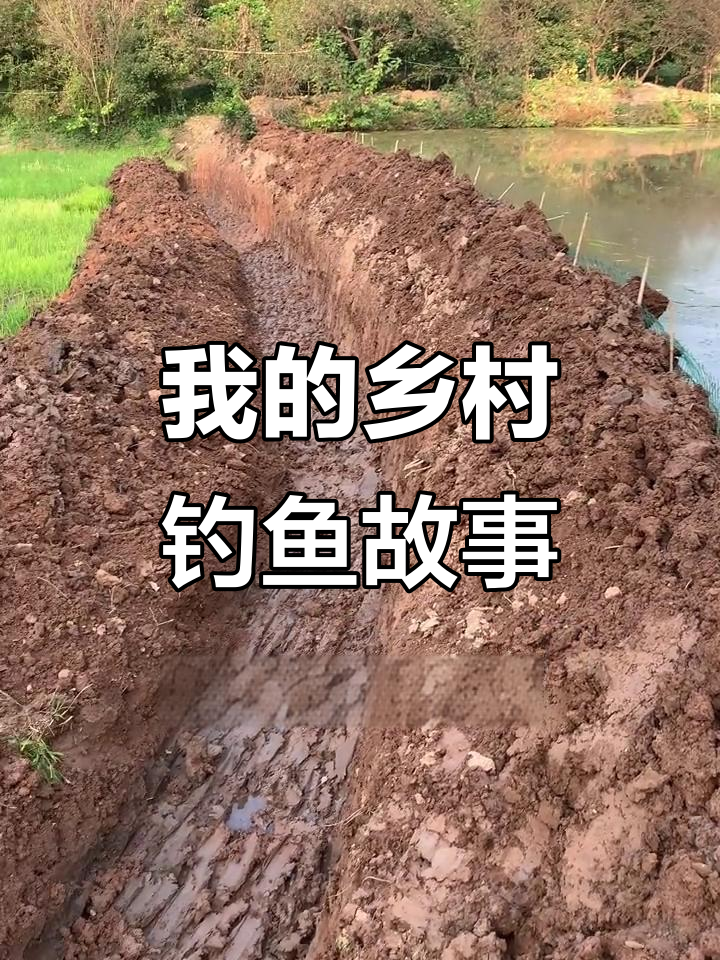 疫情下的乡村生活:鱼塘与键盘师的日常
