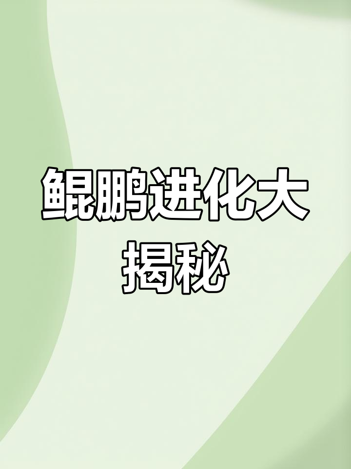 妄想山海:鲲鹏进化揭秘,六大形态全解析
