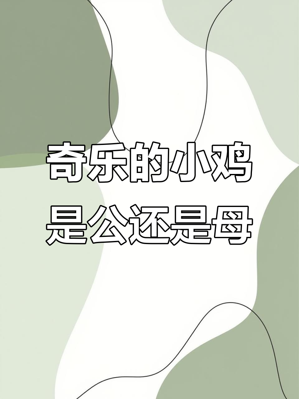 公鸡母鸡怎么区分？从生殖系统到外观全解析