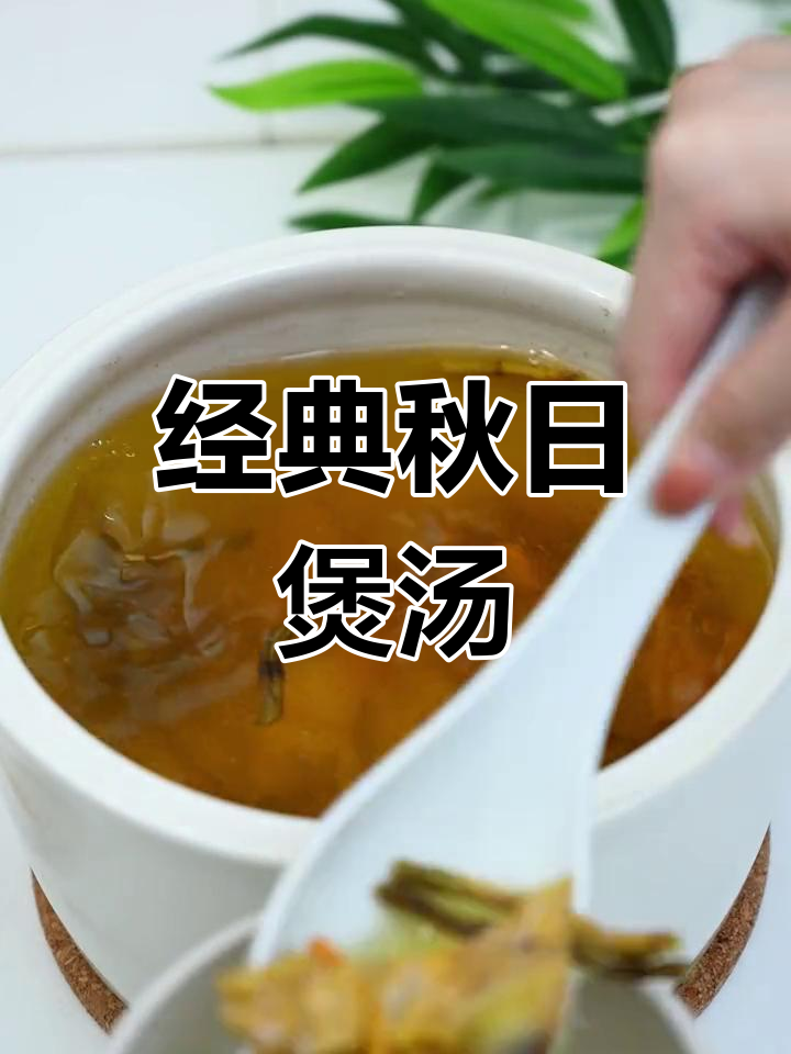 秋季滋补靓汤,排骨石斛虫草花炖出美味营养