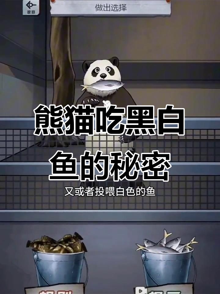 熊猫投喂黑白鱼，结果竟然是“色狼”？怪谈研究所大揭秘