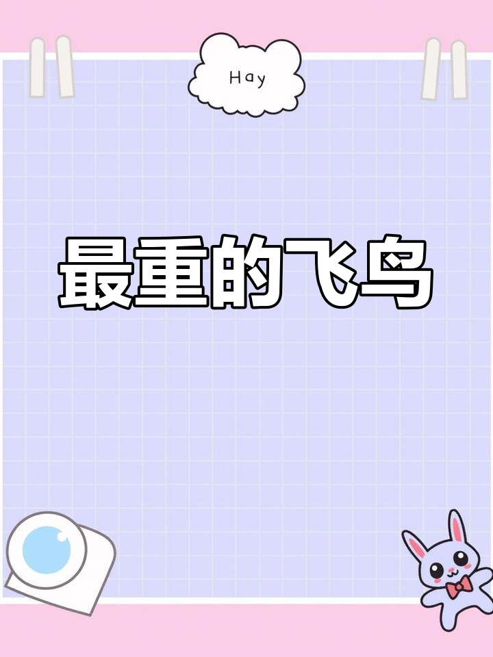 疣鼻天鹅:飞行中的巨鸟