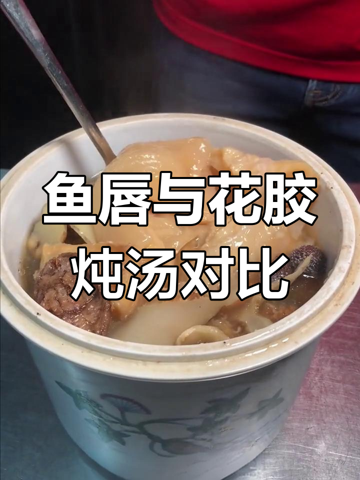 鱼唇汤和花胶汤,哪种更美味?区别在哪