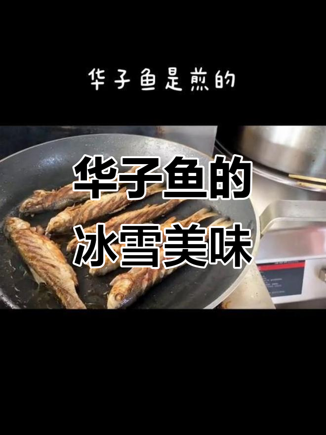 达里湖华子鱼与沙场的故事,冰天雪地中的美食之旅