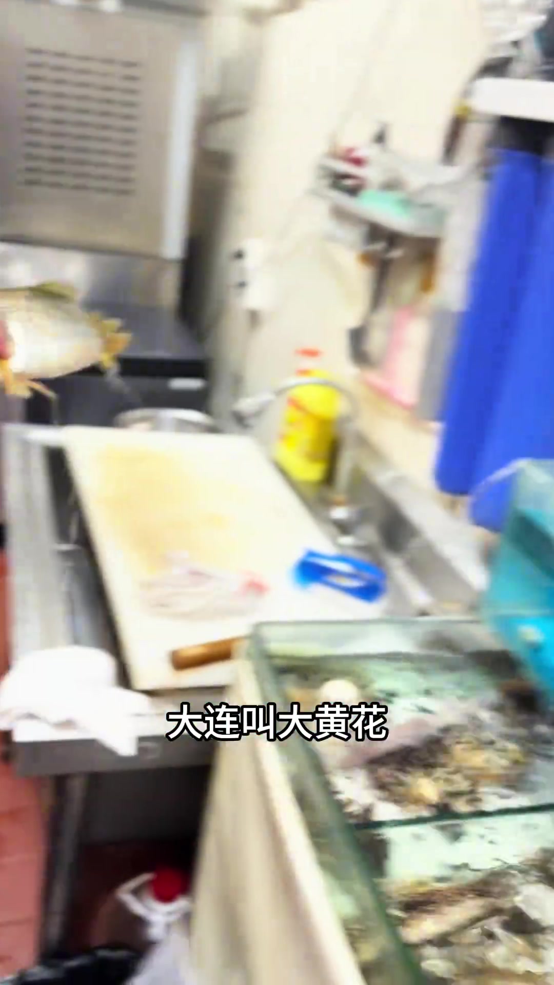 活的大黄花鱼!