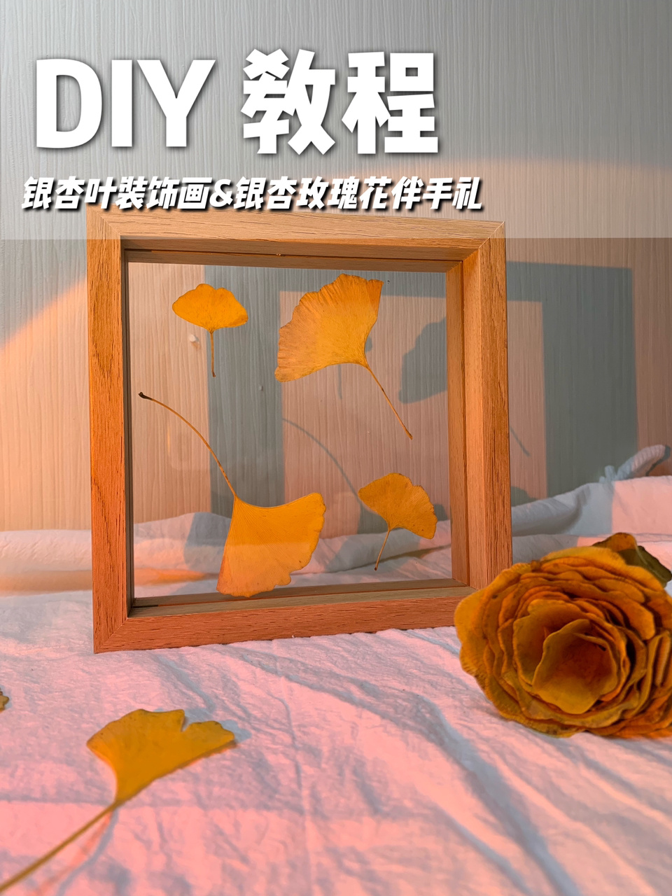 DIY植物标本教程|1分钟Get银杏玫瑰标本画