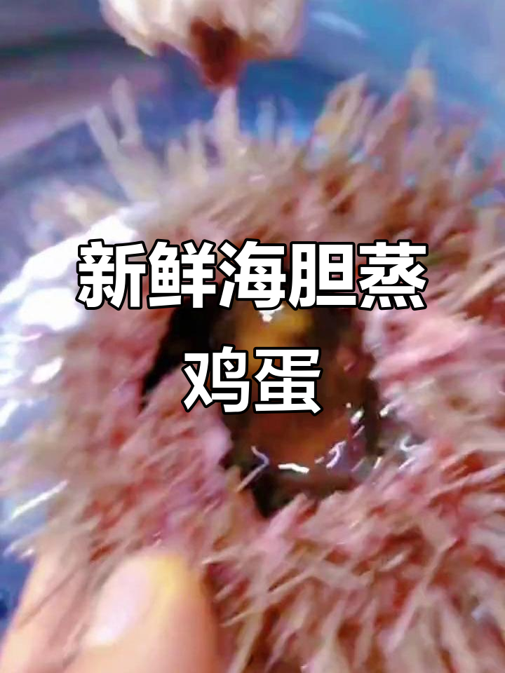 海胆蒸蛋,简单又美味!教你处理海胆的绝妙方法