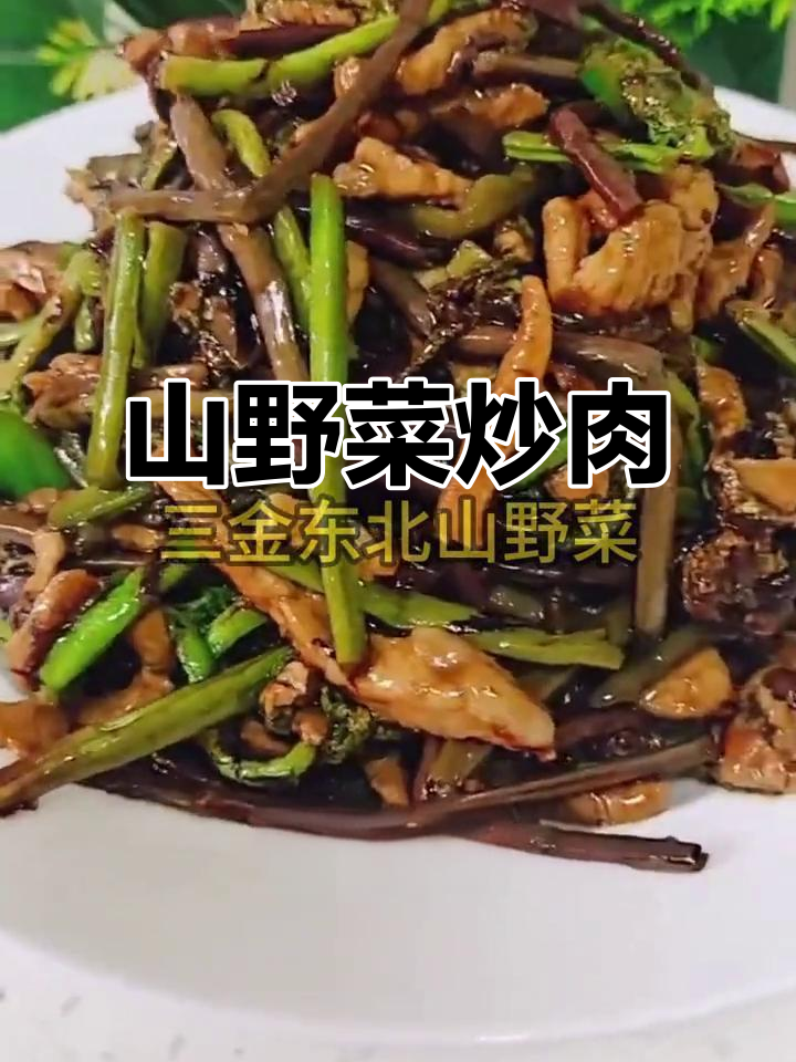蕨菜炒肉，简单又美味，东北山野菜的独特香气