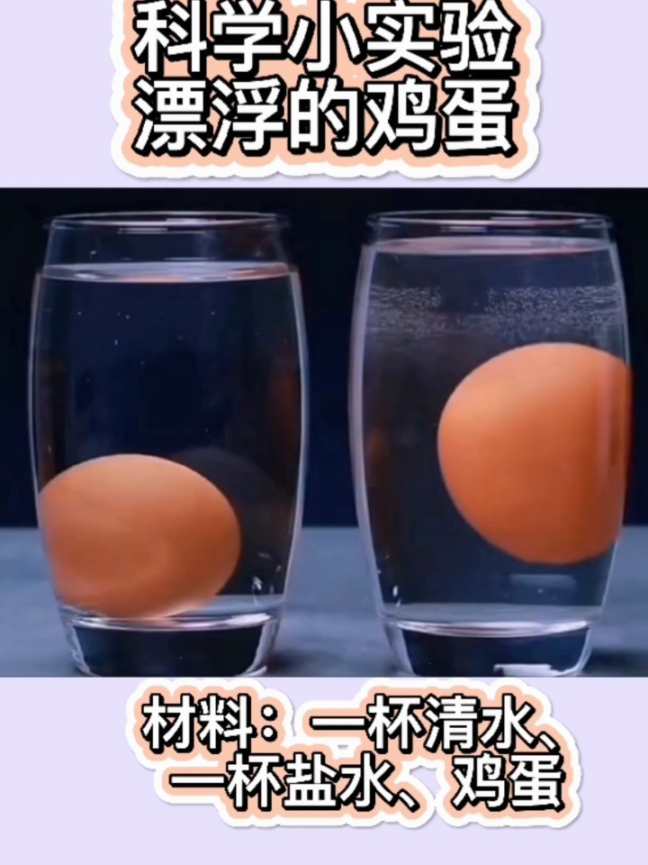 科学小实验:漂浮的鸡蛋