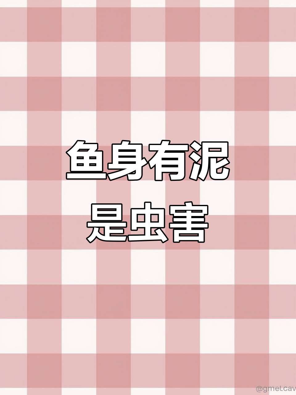 鱼死后身上泥巴多?这可能是寄生虫在作怪!