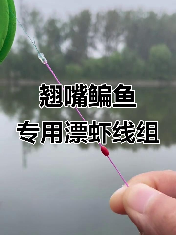 翘嘴扁鱼钓法揭秘:这款漂虾线组让你精准钓鱼