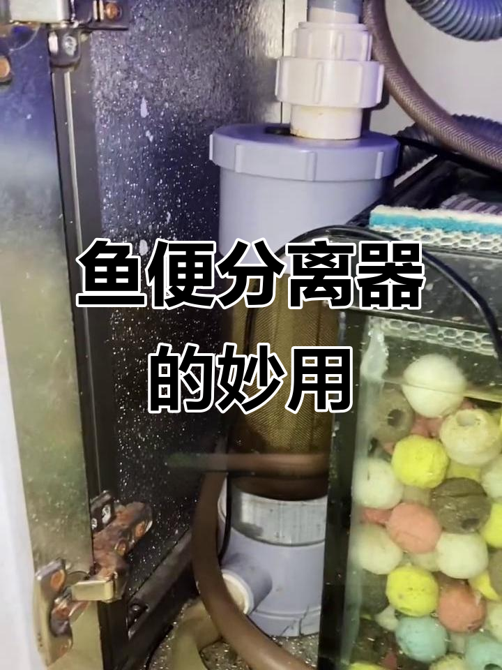 鱼缸过滤棉清洗技巧,安装分离器减少换水