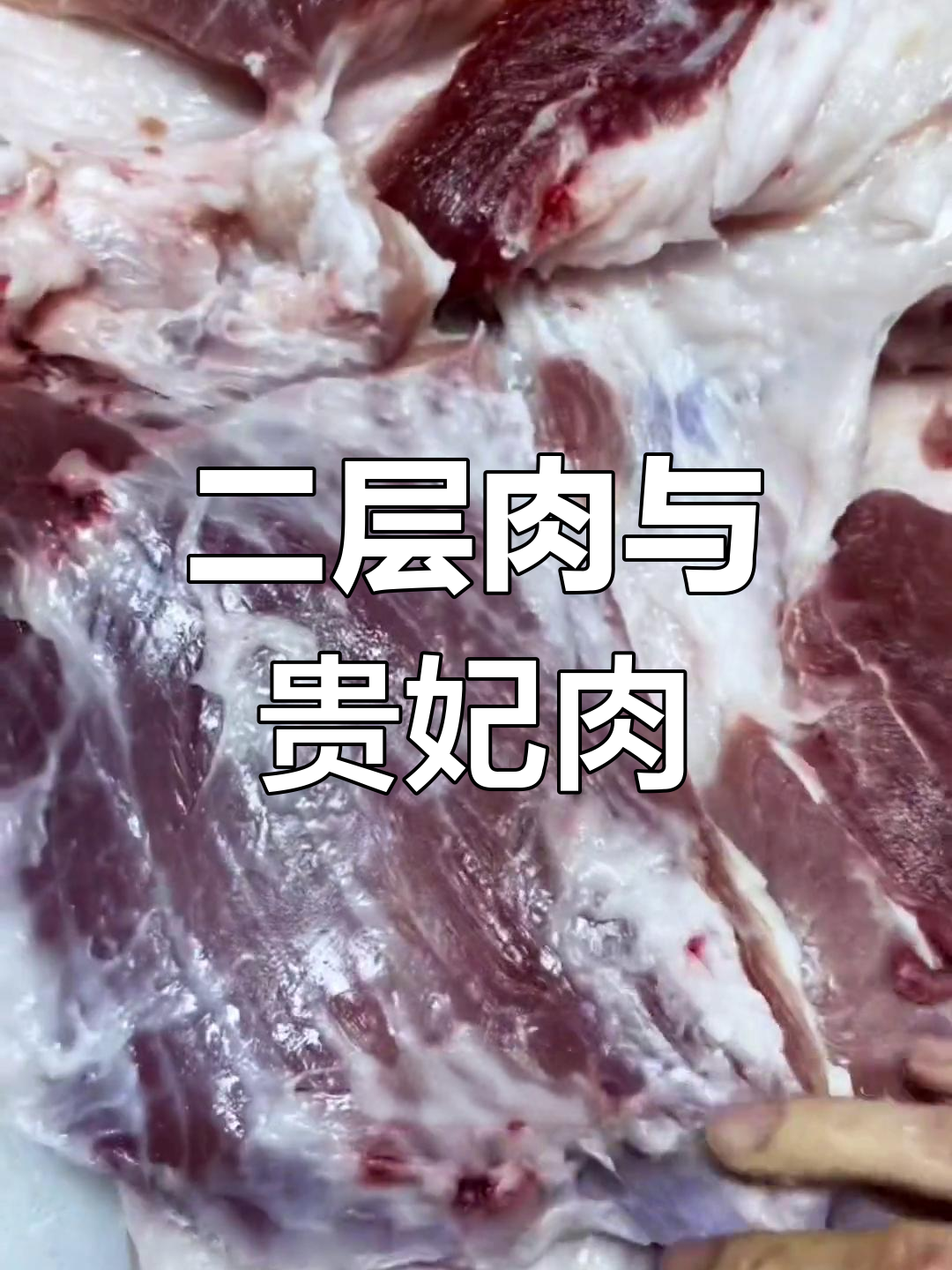 猪二层肉与贵妃肉的详细解析