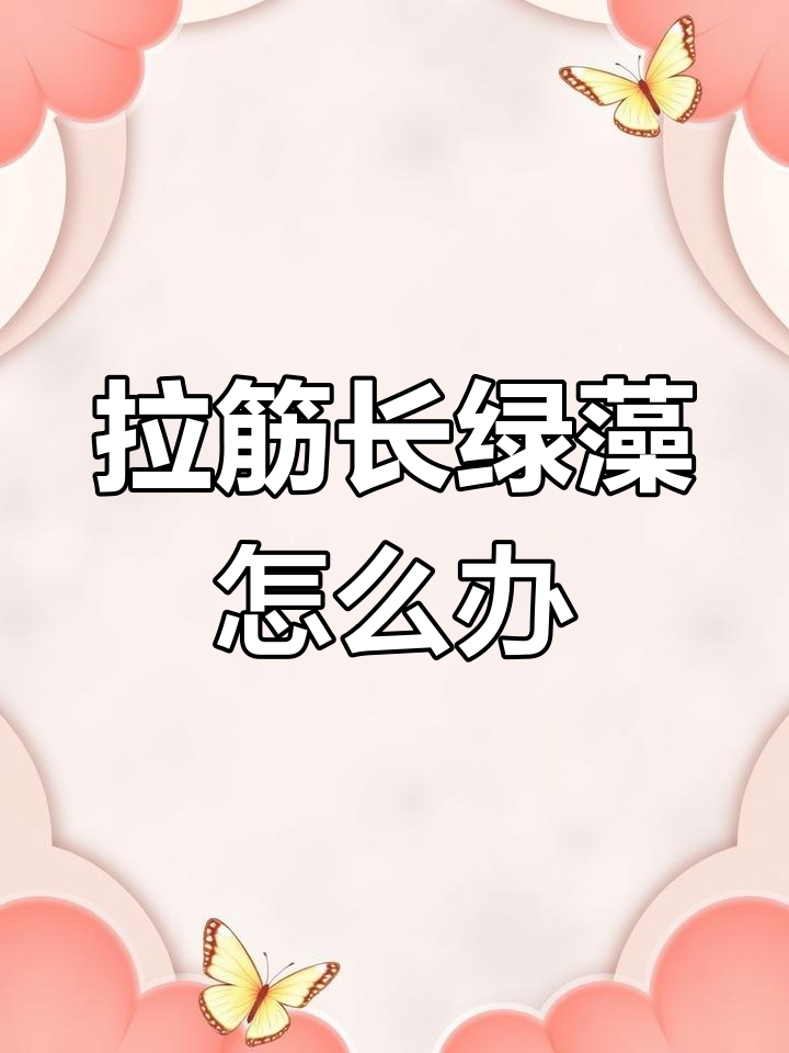 鱼缸拉筋不清理?绿藻滋生隐患大!