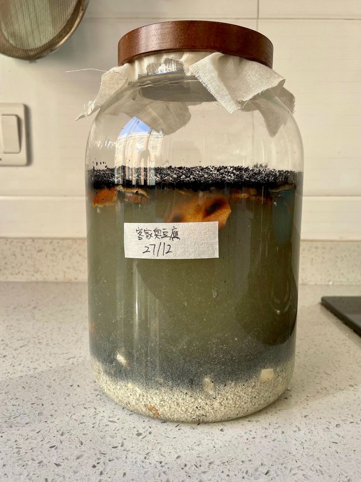 日常分享|臭豆腐为什么是黑色的?