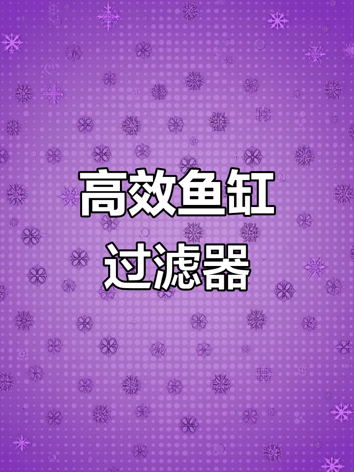 鱼缸过滤滤桶全解析：高效、静音，养鱼必备