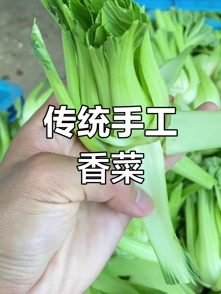 安徽芜湖荻港香菜的传统手工制作工艺