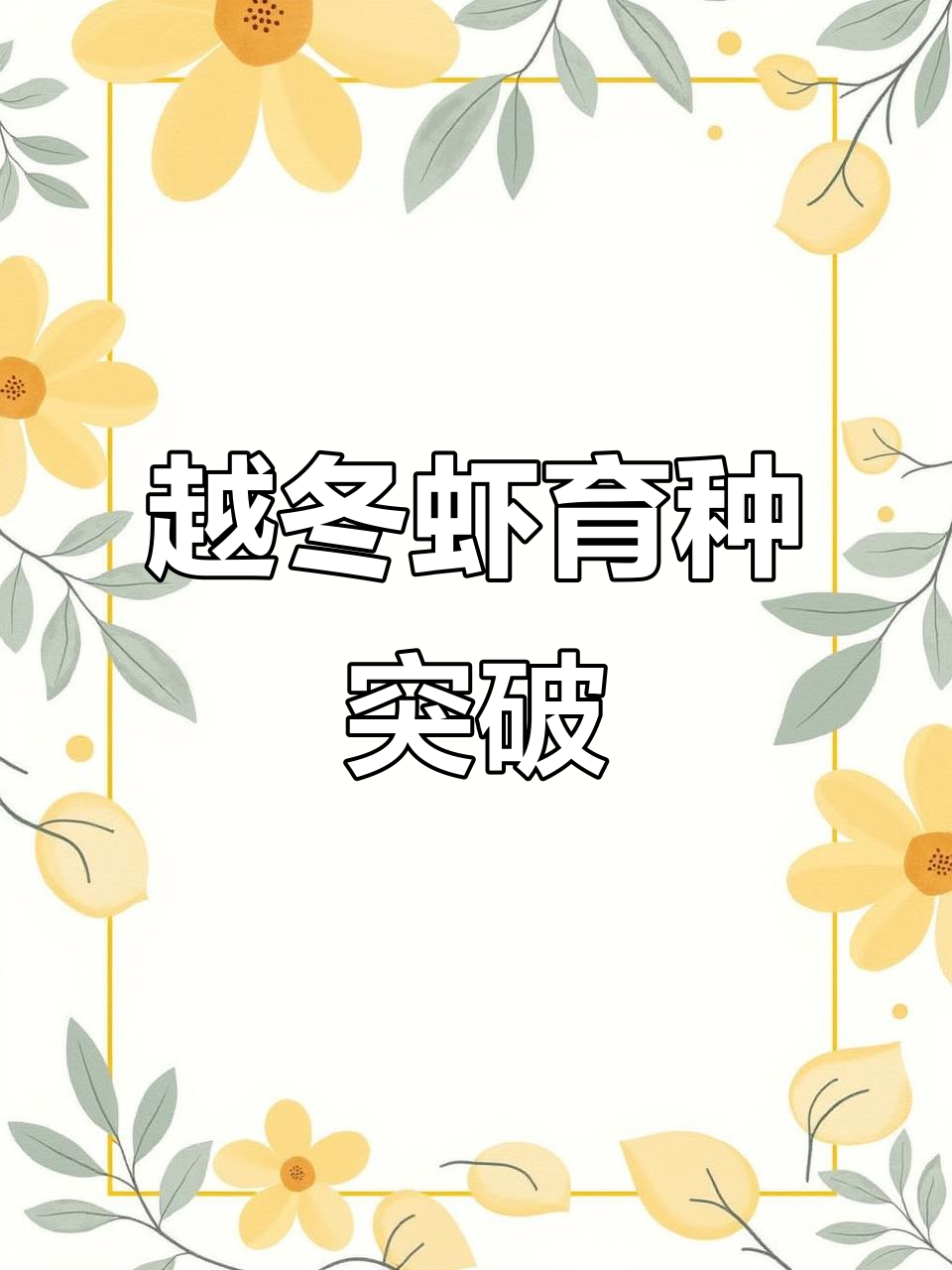 越南公司成功培育耐寒南美白对虾，冬棚养殖不再难