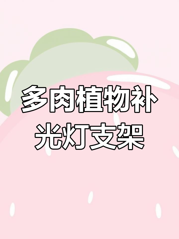 多肉植物补光灯支架全解析:调节高度、灯泡组合轻松搞定