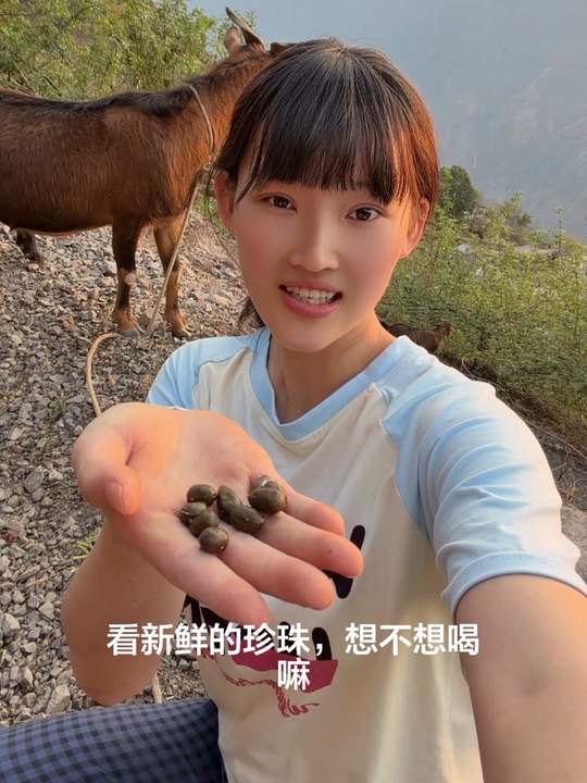 来跟我放羊呀，管够珍珠奶茶