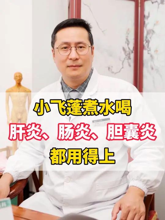 路边小飞蓬煮水喝,调理肝炎、肠炎、胆囊炎都用的上。