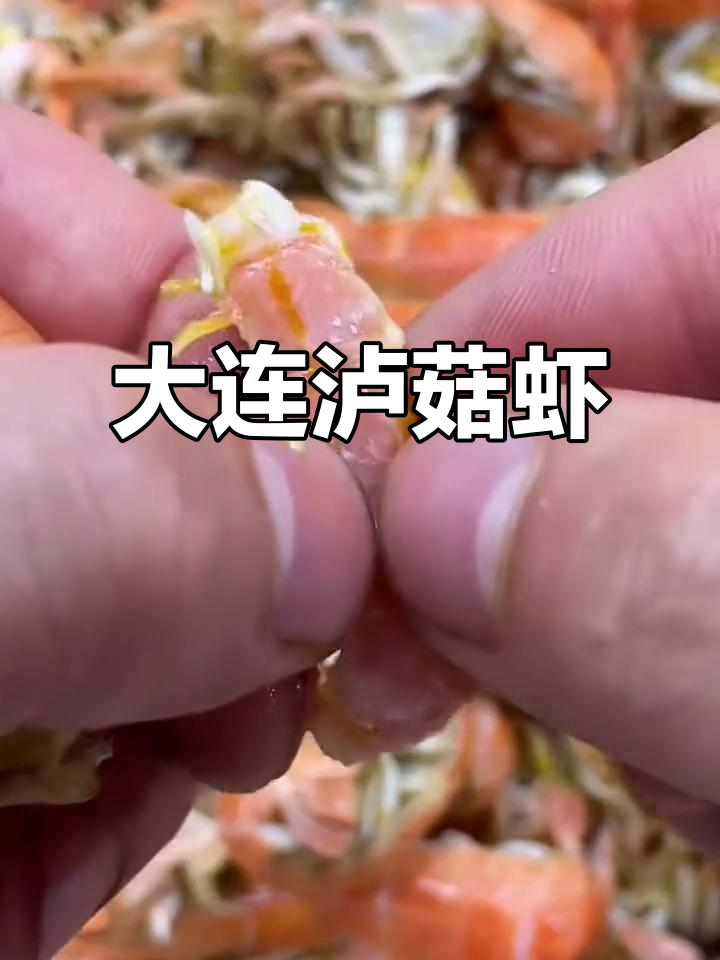99%的人都没吃过的泸沽虾,大连特产鲜香十足