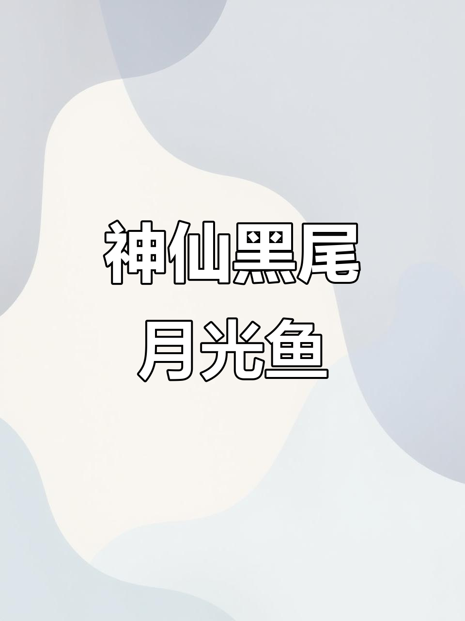 黑尾月光鱼:美丽却孤独,水族馆里的神仙品种