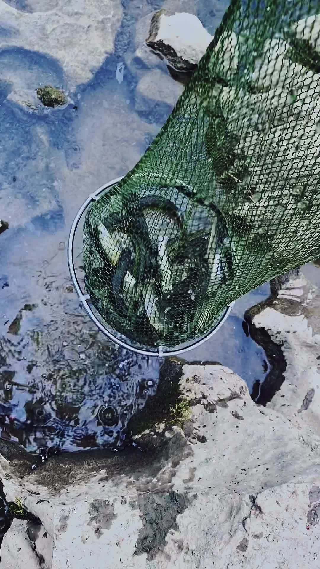 用矶竿滑漂钓溪流,这些马口太舒服了!抖音钓鱼人 2023dou来钓鱼 滑漂远投