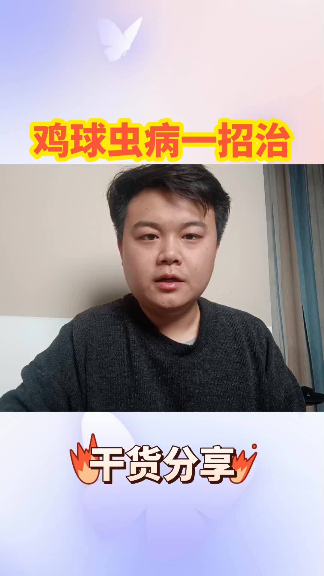 农村散养土鸡 养鸡 养鸡人 跑山鸡 生态散养土鸡