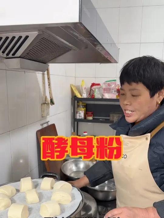 过年给家蒸馍用这个酵母粉,发面快蒸馍时间短,蒸出来馍又虚又软