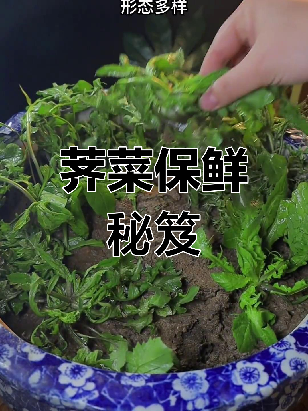 春天野菜大比拼,荠菜的保存秘诀让你吃一年都不坏!