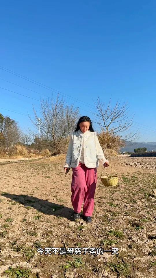 大山里的野菜可以怎么吃