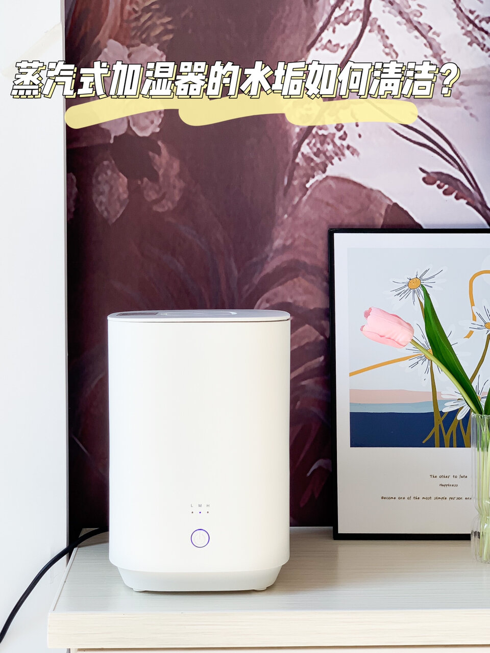 蒸汽式加湿器的水垢如何清洁?