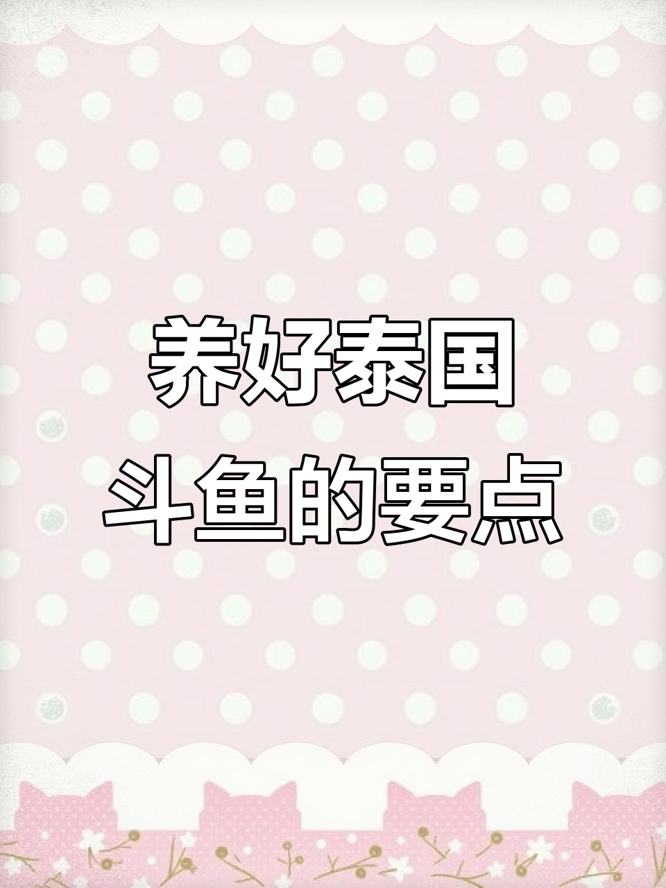 泰国斗鱼养殖技巧:从容器到水质全攻略