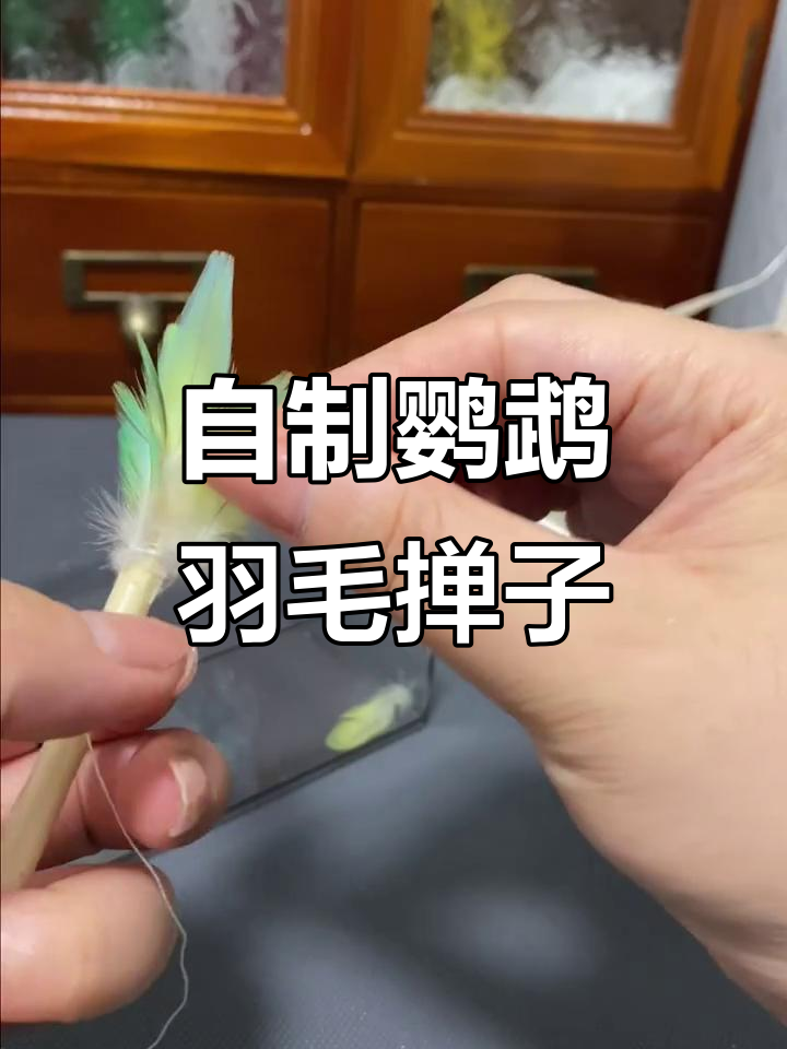 鹦鹉鸡毛掸子DIY教程,轻松打造个性化清洁工具