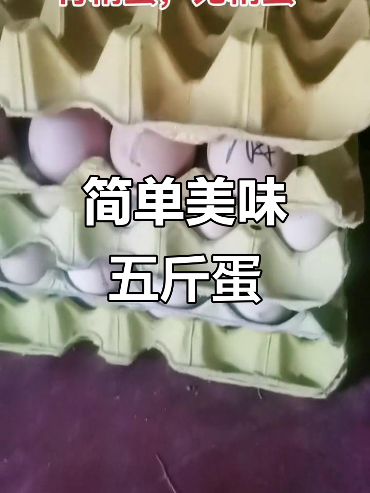 五斤蛋孵化全过程,窝蛋与筋蛋的完美呈现