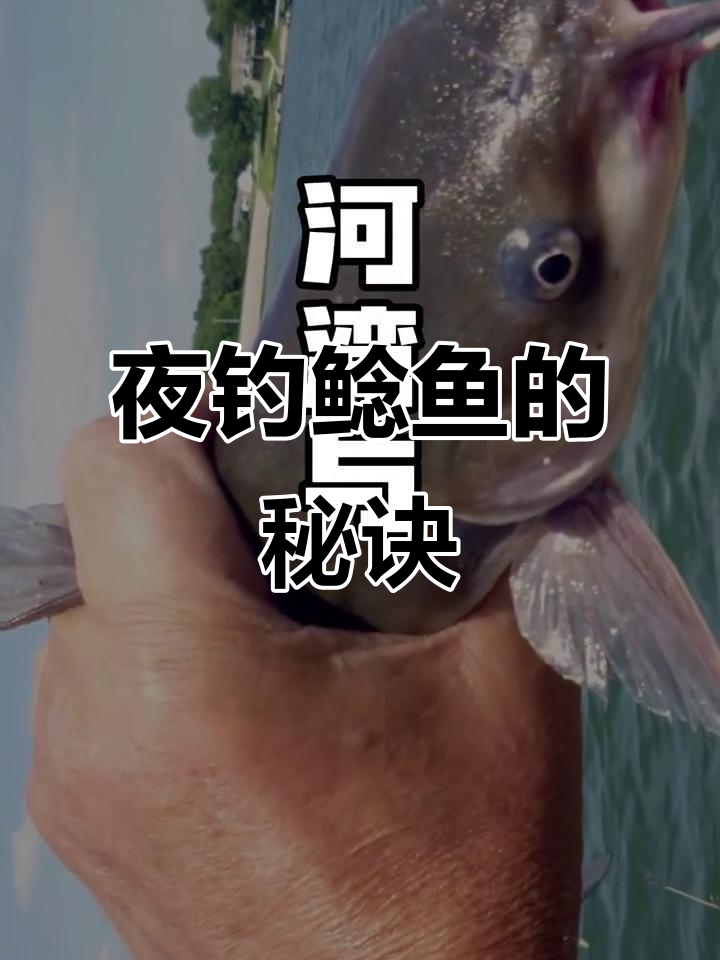 鲶鱼夜晚活跃,深水河湾最佳钓点。慢拖技巧轻松捕获!