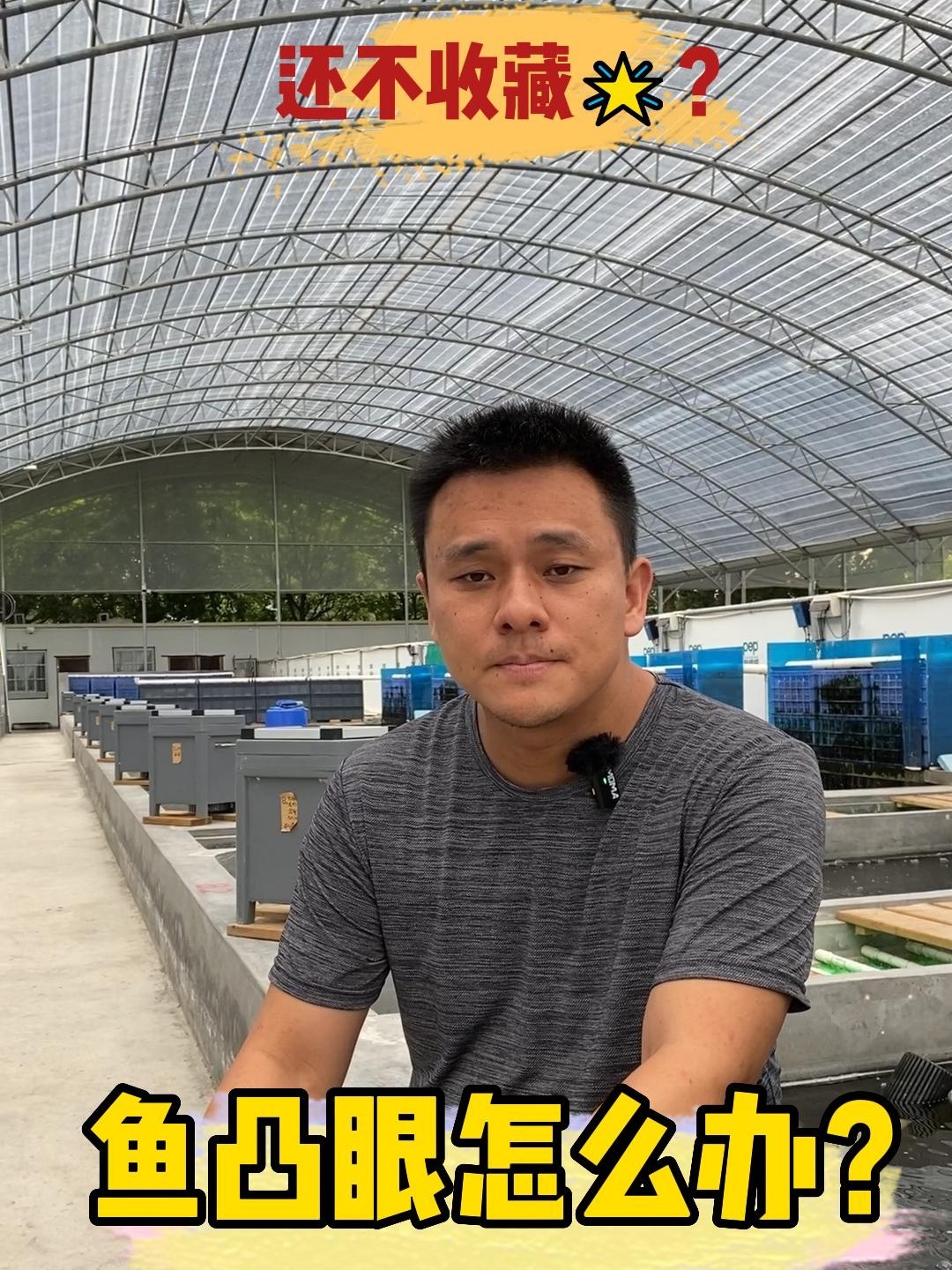 鱼凸眼怎么办?