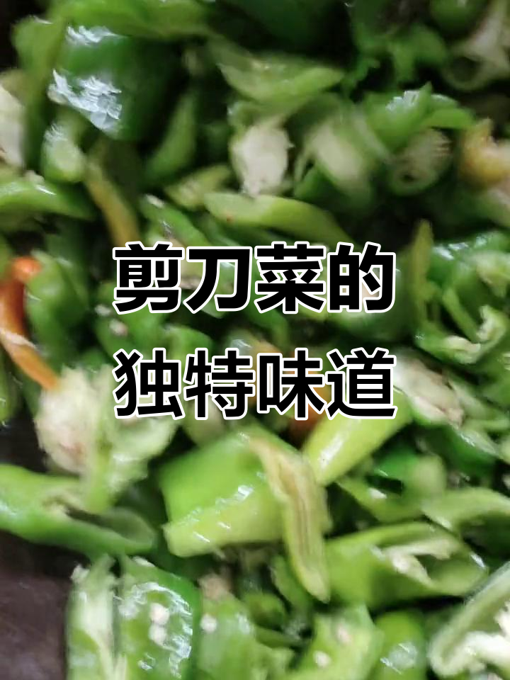 尝尝这野菜,剪刀菜的独特风味,简单生活也能有新奇体验