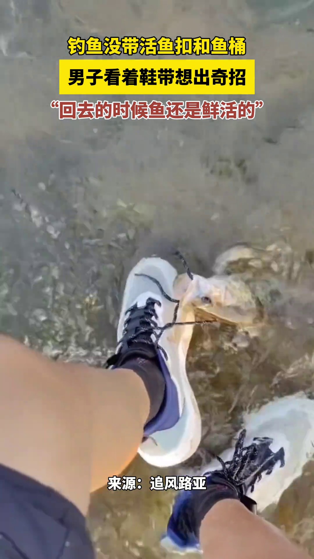 钓鱼没带活鱼扣和鱼桶,男子看着鞋带想出奇招:回去时鱼还是鲜活的