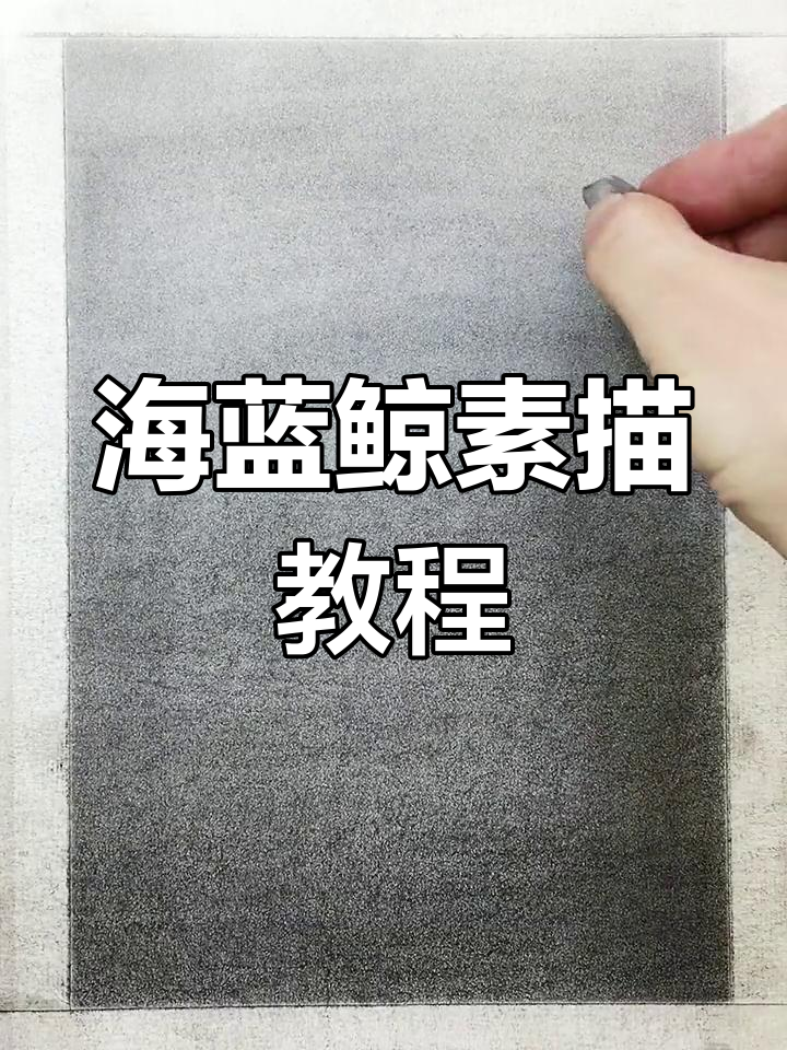 绘制海蓝鲸的素描技巧