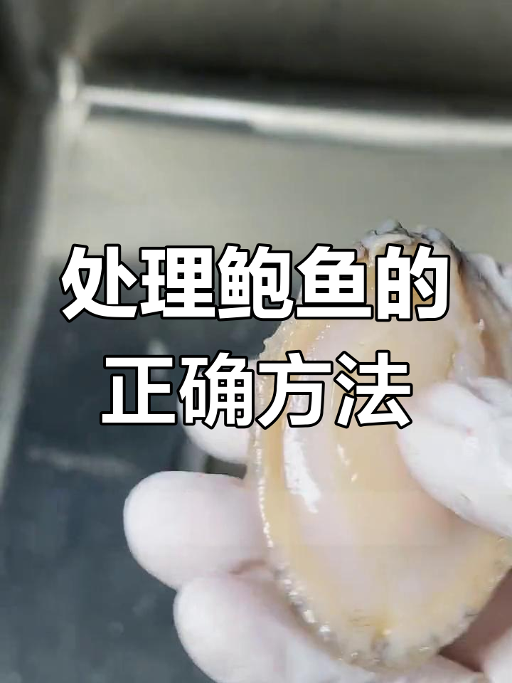 鲍鱼处理技巧:如何去除内脏和牙