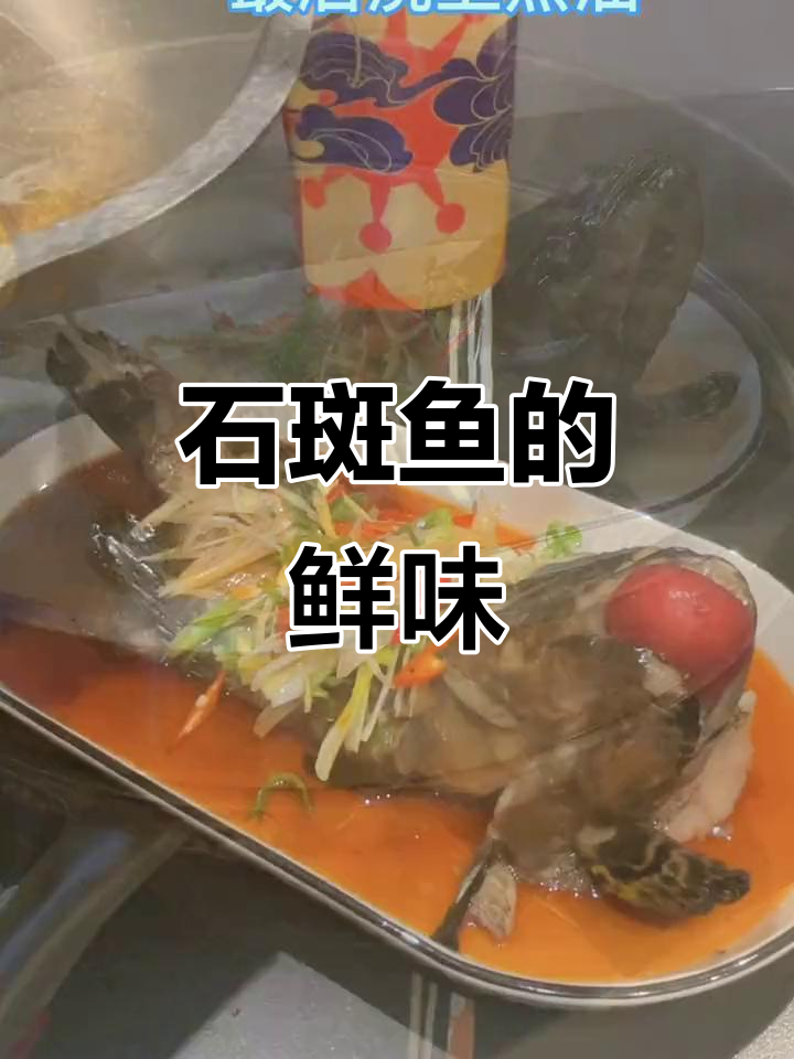 石斑鱼鲜美如鸡,与桂鱼齐名,清蒸最显其独特风味